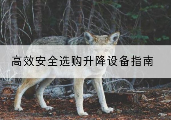 四子王旗升降货梯厂家推荐-*安全选购升降设备指南