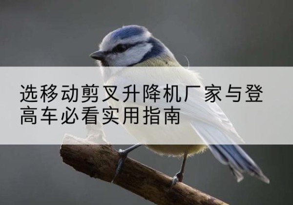 四子王旗电动升降机厂家-选移动剪叉升降机厂家与登高车必看实用指南