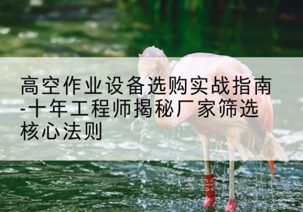四子王旗剪叉式升降机厂家-高空作业设备选购实战指南-十年工程师揭秘厂家筛选核心法则